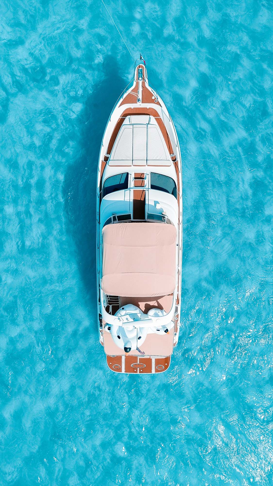 Sea Ray Flybridge 50ft 5.JPG@0,5x